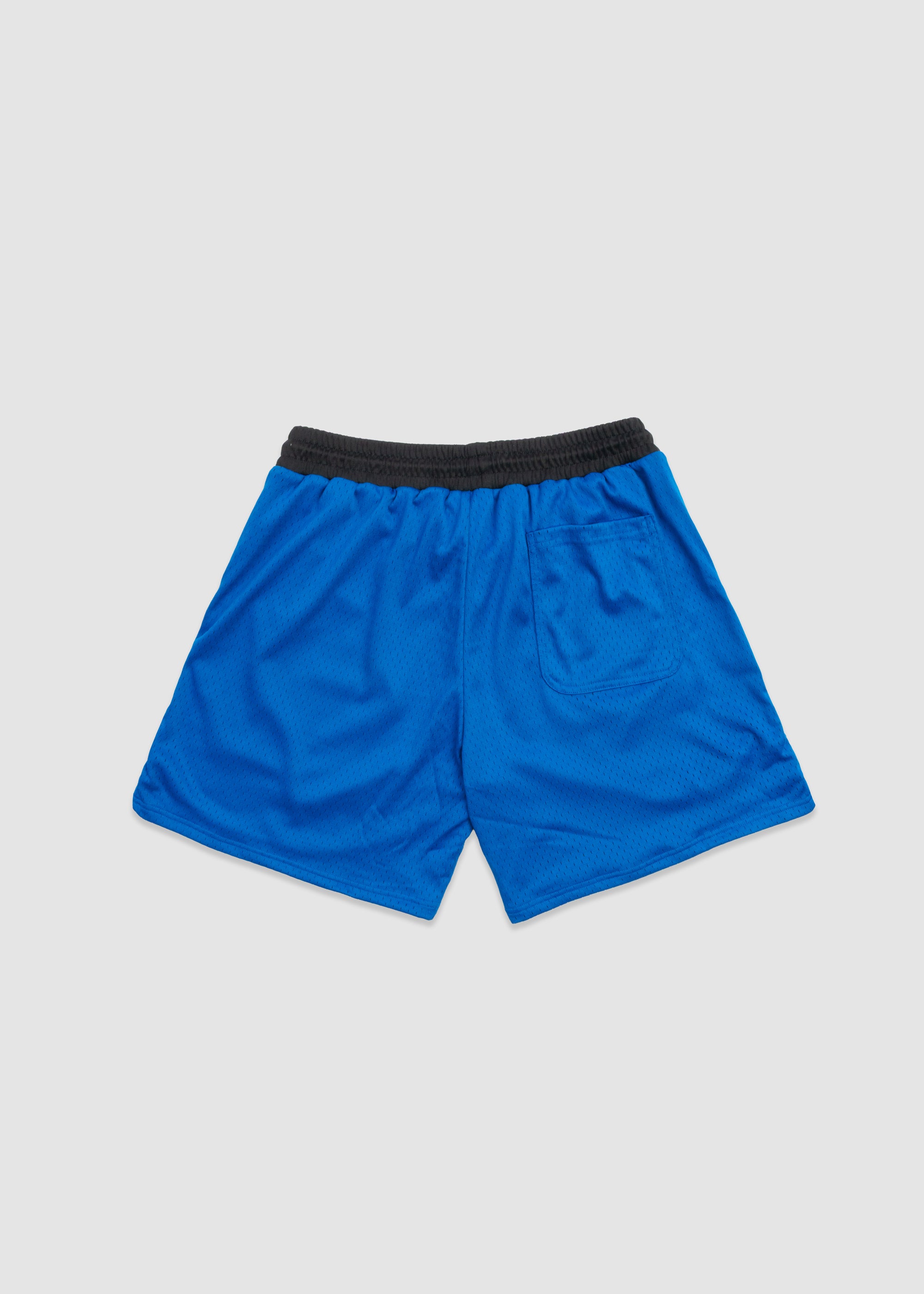 Script Mesh Shorts // Royal