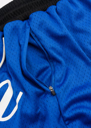 Script Mesh Shorts // Royal