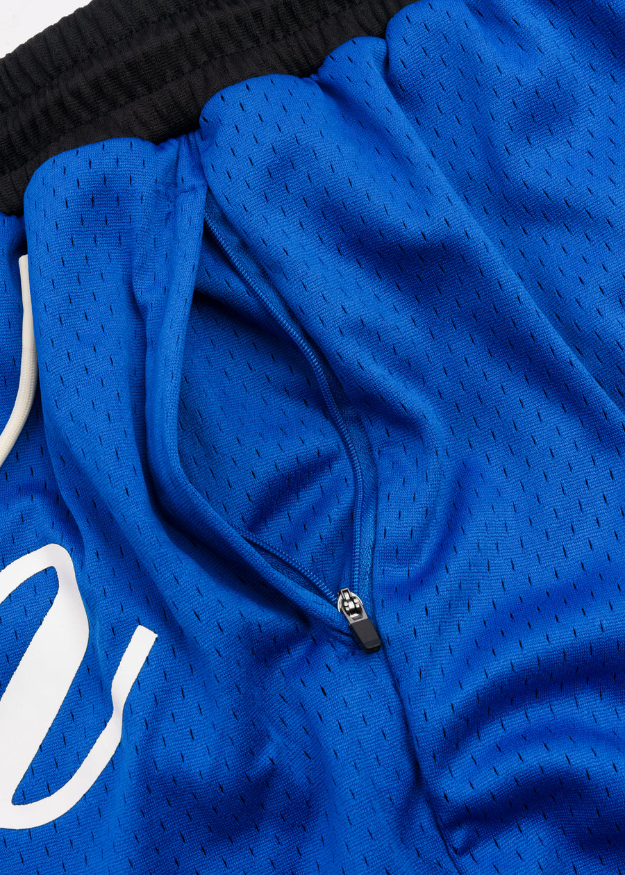 Script Mesh Shorts // Royal