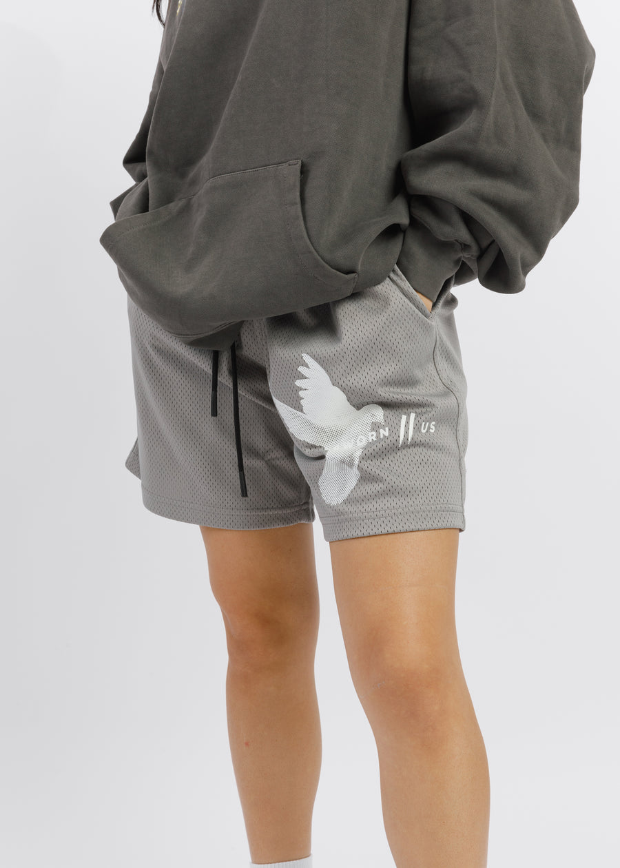 Motion Court Shorts // Cement